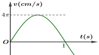 Một phần đồ thị vận tốc theo thời gian của vật dao động điều hòa như vẽ (ảnh 1)