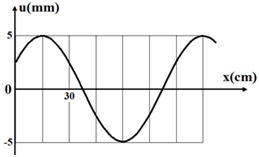 Một sóng cơ đang truyền theo chiều dương của trục Ox như hình vẽ. Bước sóng là