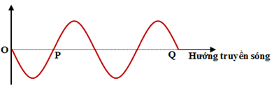 Một sóng truyền được biểu diễn như hình. P và Q là hai phần tử thuộc môi trường sóng truyền qua, khi đó 