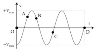 Một vật dao động điều hòa có đồ thị vận tốc như hình vẽ. Nhận định nào sau đây là đúng?