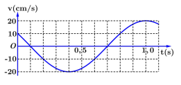 Một vật dao động điều hòa. Hình bên là đồ thị biểu diễn sự phụ thuộc của vận tốc v của vật theo thời gian  t. Phương trình dao động của vật là.

     