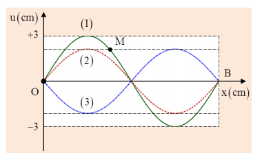 Sóng   dừng ổn định trên   sợi   dây có  chiều  dài L = OB =1,2 m  với   hai đầu  O  và  B là  hai  nút  sóng.  Tại thời  điểm t = 0,  các  điểm  trên 