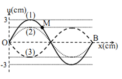 Sóng dừng ổn định trên sợi dây dài OB = 1,2 m với hai đầu O và B là hai nút sóng. Tại thời điểm t = 0, các điểm trên dây có li độ cực đại và hình dạng