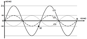 Sóng dừng trên một sợi dây đàn hồi OB, hai đầu cố định, tốc độ lan truyền 400 cm/s, sóng tới B có biên độ A = 2 cm. Hình ảnh sợi dây ở các thời điểm t