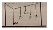 Thực hiện thí nghiệm về dao động cưỡng bức như hình bên. Năm con lắc đơn (1); (2); (3); (4) và M (con lắc điều khiển) được treo trên một sợi dây. Ban đầu