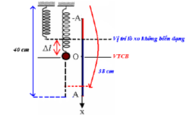 + Ta có: A = (lmax – lmin) : 2 = 5 (cm) và lcân bằng = (lmax + lmin) : 2 = 35 (cm).

+ Lò xo có chiều dài l = 38 cm > lcân bằng

+ Li độ của chất điểm là: x = 38 – 35 = 3cm = 0,03m.

Mà: F = k.(Δl + x)

ó  10 = 100.(Δl + 0,03)

=> Δl = 0,07m = 7cm.

=> Δlmax = 7 + 5 = 12cm.