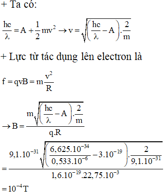 ü