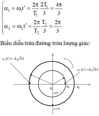 - Tại thời điểm t = 0 hai điểm sáng cùng đi qua VTCB theo chiều dương

  + Phương trình dao động của hai điểm sáng:

+ Ở VTCB theo chiều dương hai điểm sáng có cùng độ lớn vật tốc

Khi vận tốc của điểm sáng 1 bằng 0 thì vận tốc của điểm sáng 2 mới giảm lần:

Từ đường tròn lượng giác ta thấy: cùng trong khoảng thời gian t, góc quét được của hai chất điểm lần lượt là:

Với k = 0 => thời điểm đầu tiên hai điểm sáng có cùng độ lớn vận tốc.

 Với k = 1 => thời điểm tiếp theo hai điểm sáng có cùng độ lớn vận tốc là: 

=> Góc quét được tương ứng của hai chất điểm trên đường tròn:

Từ đường tròn lượng giác ta có tỉ số độ lớn li độ của hai điểm sáng: