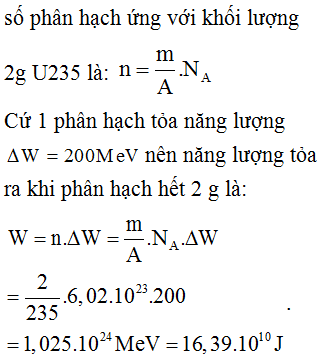 Chọn đáp án  D