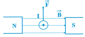 Từ trường do nam châm vĩnh cửu sinh ra có chiều đi vào cực nam (S) và đi ra ở cực bắc (N), như vậy các đường sức từ sẽ hướng từ trái sang phải như hình vẽ.

Dây dẫn mang dòng điện đặt trong từ trường sẽ chịu tác dụng của lực từ có chiều xác định theo quy tắc bàn tay trái.

Từ đó ta suy ra lực từ hướng từ dưới lên trên, nên dây dẫn sẽ dịch chuyển lên phía trên.