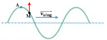 Xét thêm điểm A có li độ cực đại như hình vẽ.

Theo giả thiết, sóng truyền từ trái sang phải nên điểm M sẽ dao động trễ pha hơn điểm A, ta thấy rằng dao động sẽ truyền từ A đến M, do đó điểm M đang có hướng dao động đi lên như hình vẽ.

Để thấy rõ được chuyển động đi lên của điểm M ta có thể dùng vòng tròn biểu thị dao động điều hòa cho cả điểm A và điểm M.

- Dao động của điểm M được thể hiện bằng hình chiếu của vectơ quay OM