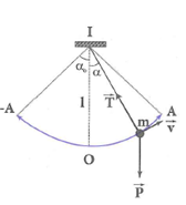 Khi một con lắc đơn dao động tự do trong trường trọng lực của trái đất, độ (ảnh 1)