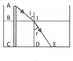 Gọi AB là phần cọc nhô lên mặt nước; BC là phần cọc ngập trong nước; BI là bóng của cọc trên mặt nước; CE là bóng của cọc dưới đáy bể.

- Chiều sâu của bể nước: