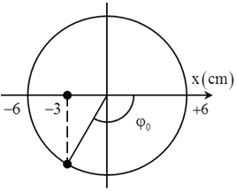 + Từ đồ thị, ta có A = 6 cm.

+ Tại thời điểm ban đầu vật đi qua vị trí x = -3 cm theo chiều dương, sau khoảng thời gian 0,2 s thì trạng thái này lặp lại. Vậy T=0,2s