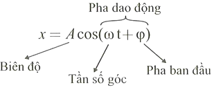 Các đại lượng trong phương trình dao động điều hòa: