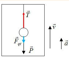 Một con lắc đơn được treo vào trần một thang máy. Khi thang máy chuyển (ảnh 1)