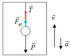 Một con lắc đơn được treo vào trần một thang máy. Khi thang máy chuyển (ảnh 2)