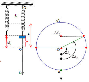 Một con lắc lò xo treo thẳng đứng, từ vị trí cân bằng kéo vật xuống (ảnh 1)