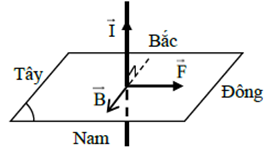 .

+ Áp dụng quy tắc bàn tay trái: “đặt bàn tay trái xòe rộng để cho các đường cảm ứng từ xuyên qua lòng bàn tay, chiều từ cổ tay đến ngón giữa trùng với chiều dòng điện, khi đó ngón cái choãi ra 90 độ chỉ chiều của lực từ tác dụng lên dòng điện”

+ Áp dụng cho bài này: đặt bàn tay trái thẳng đứng hướng từ dưới lên, xoay bàn tay sao cho lòng bàn tay hướng về phía Bắc, khi đó ngón cái choãi ra 90 độ, chỉ về phía Đông.
