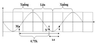 .

Từ hình vẽ ta thấy N’ đang có li độ âm và đang đi lên.