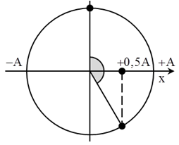 + Ban đầu vật đi qua vị trí x = +0,5A theo chiều dương.

+ Vận tốc của vật có giá trị cực đại khi vật đi qua vị trí cân bằng.

 Biểu diễn các vị trí này trên đường tròn, ta thu được: