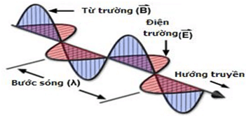 • Sóng điện từ chính là điện từ trường lan truyền trong không gian.

• Các đặc điểm:

   + Sóng điện từ lan truyền trong chân không và trong các điện môi.

   + Sóng điện từ là sóng ngang, có thành phần vecto điện trường E →  vuông góc với thành phần vecto cảm ứng từ B →  và cùng vuông góc với với phương truyền sóng, ba vecto E → , B →  và v →  tạo thành một tam diện thuận.

   + Dao động của điệnt trường và từ trường trong sóng điện từ luôn luôn cùng pha.

   + Khi gặp mặt phân cách giữa hai môi trường thì sóng điện từ cũng bị phản xạ, khúc xa.

   + Sóng điện từ mang năng lượng.