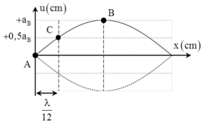 AB là khoảng cách giữa nút và bụng gần nhất

mặt khác  AB = 3AC

→  do đó điểm C dao động với biên độ bằng một nửa biên độ của bụng sóng B

Khi sợi dây biến dạng nhiều nhất, khoảng cách giữa A và C là

Khi B đi đến vị trí có li độ bằng biên độ của C (0,5aB) sẽ có tốc độ