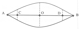 .

Theo điều kiện đề bài thì AB phải là 2 nút sóng gần nhau nhất, ứng với sóng dừng có một bụng (hình vẽ). Biên độ dao động ở bụng sóng là                       2A=5cm

Vì CD=16cm   nên OD=8cm.   Biên độ dao động ở điểm D: