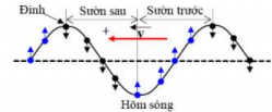 Phương pháp: 

Sử dụng hình vẽ: 

Sườn đón sóng  ⇒  các phần tử môi trường đi xuống. 

Sườn không đón sóng  ⇒  các phần tử môi trường đi lên. 

Cách giải: 

Sóng cơ lan truyền ngược chiều dương của trục tọa độ  ⇒  Sóng truyền từ phải sang trái.

Điểm E, B nằm trên sườn đón sóng  ⇒  E, B  ↓

C ở đáy sóng  ⇒  C  ↑ 

A nằm ở đỉnh sóng  ⇒  C  ↓ 

D nằm ở sườn không đón sóng  ⇒  D  ↑

⇒  Điểm A, B, E đi xuống còn điểm C, D đi lên  

. 