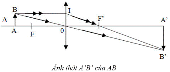 Cách dựng ảnh một vật qua thấu kính hội tụ:

- Đường truyền của ba tia sáng đặc biệt qua thấu kính hội tụ:

(1): Tia tới đi qua quang tâm thì tia ló tiếp tục đi thẳng (không bị khúc xạ) theo phương của tia tới.

(2): Tia tới song song với trục chính thì tia ló đi qua tiêu điểm.

(3): Tia tới đi qua tiêu điểm thì tia ló song song với trục chính.

- Muốn dựng ảnh A’B’ của AB qua thấu kính (AB vuông góc với thấu kính, A nằm trên trục chính), chỉ cần dựng ảnh B’ của B bằng hai trong ba tia sáng đặc biệt, sau đó từ B’ hạ vuông góc xuống trục chính ta có ảnh A’ của A.