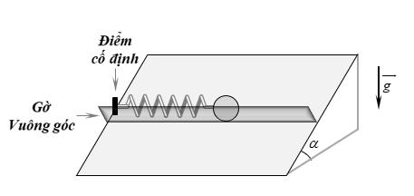 Trên mặt phẳng nghiêng góc α=30^0 so với phương ngang, có một chiếc gờ thẳng, dài, nằm ngang, có thành phẳng, vuông góc với mặt phẳng  (ảnh 1)