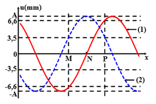 Trên một sợi dây đàn hồi có ba điểm M, N và P, N là trung điểm của đoạn MP. Trên dây có một sóng lan truyền từ M đến P với chu kỳ T (T > 0,5s).

Hình vẽ
