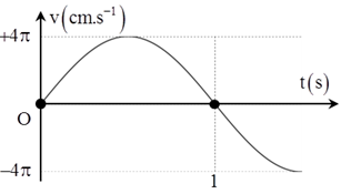 Vật dao động điều hòa. Vận tốc biến thiên với đồ thị như hình vẽ. Phương trình gia tốc là