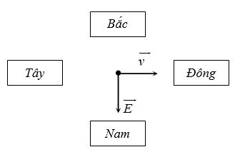 Xét sự lan truyền của sóng điện từ trong không gian theo hướng từ Tây sang Đông với chu kì  T . Tại thời điểm  t  vecto cường độ điện trường E→       