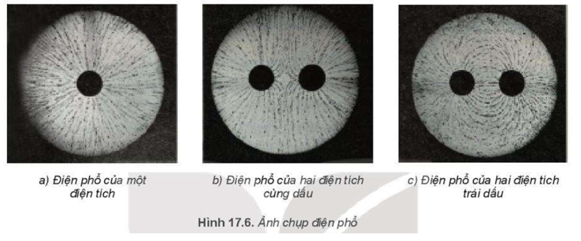 1. Em hãy quan sát Hình 17.6 và đưa ra nhận xét về đặc điểm của điện phổ:

a) Ở những vùng có điện trường mạnh hơn tức là ở gần điện tích hơn.

b) Ở những