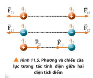 Các cặp lực F→12 và F→21 trong Hình 11.5 có phải là các cặp lực cân bằng không? Vì sao?