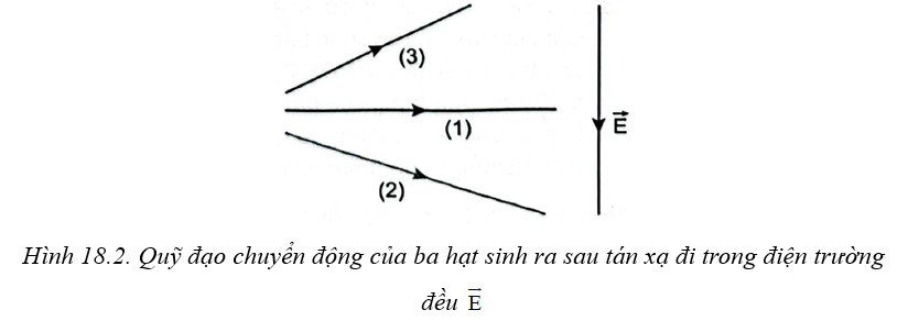 Câu 18.13 SBT Vật lí 11 trang 36.  Máy gia tốc có thể gia tốc cho các hạt mang điện tới tốc độ đủ lớn rồi cho va chạm (hay còn gọi là tán xạ) với hạt khác