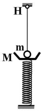 Cho cơ hệ như hình vẽ: hòn bi có kích thước rất nhỏ nặng m = 150 g treo vào đầu một sợi dây đàn hồi có chiều dài tự nhiên 20 cm, có hệ số đàn hồi k1 =