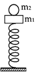 Cho cơ hệ như hình vẽ, lò xo nhẹ có chiều dài tự nhiên l0=30cm, có độ cứng k = 100 N/m, vật (ảnh 2)