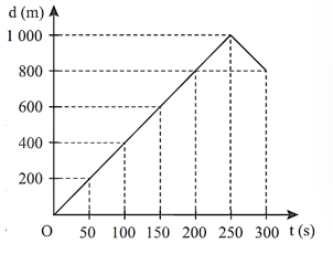 Cho đồ thị độ dịch chuyển – thời gian của một vật chuyển động thẳng như hình dưới. Độ lớn độ dịch chuyển tổng hợp của chuyển động là bao nhiêu?