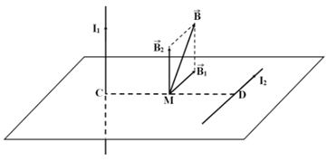 Cho hai dòng điện có cùng cường độ 8 A chạy trong hai dây dẫn thẳng dài, đặt vuông góc với nhau, cách nhau một khoảng 8,0 cm trong chân không: dây dẫn