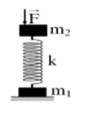 Cho hệ lò xo cấu tạo như hình vẽ. Lò xo nhẹ và các lực cản là không đáng kể. Biết m1 = 4,0 kg; m2= 6,4 kg và k = 1600 N/m; lực F = 96 N và g =  π2  = 10