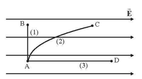 Cho một hạt mang điện dương chuyển động từ điểm A đến điểm B, C, D theo các quỹ đạo khác nhau trong điện trường đều như hình vẽ. Gọi A1, A2, A3 lần lượt