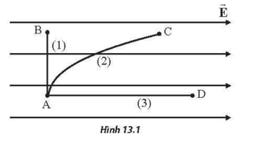 Cho một hạt mang điện dương chuyển động từ điểm A đến điểm B, C, D theo các quỹ đạo khác nhau trong điện trường đều như Hình 13.1. Gọi A1, A2, A3 lần lượt