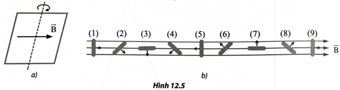 Cho một khung kim loại gồm 1 000 vòng dây có diện tích 25 cm2 quay quanh trục trong một từ trường đều với độ lớn cảm ứng từ là 0,01 T như Hình 12.5a. Hình