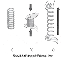 Chọn các nhận xét đúng về biến dạng của lò xo trong Hình 22.1, biết Hình 22.1a thể hiện (ảnh 1)