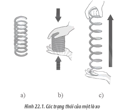 Chọn các nhận xét đúng về biến dạng của lò xo trong Hình 22.1, biết Hình 22.1a thể hiện lò xo đang có chiều dài tự nhiên.