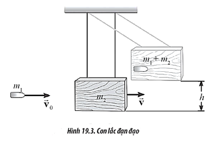 Con lắc đạn đạo là thiết bị được sử dụng để đo tốc độ của viên đạn. Viên đạn được bắn vào một khối gỗ lớn treo lơ lửng bằng dây nhẹ, không dãn. Sau khi