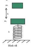 Con lắc lò xo đặt thẳng đứng (như hình vẽ ), đầu dưới gắn chặt vào mặt sàn, đầu trên gắn vật m1= 300g đang đứng yên ở vị trí cân bằng, độ cứng của lò xo