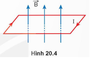 Đặt một khung dây dẫn hình chữ nhật có dòng điện chạy qua trong từ trường, sao cho mặt phẳng khung dây vuông góc với các đường cảm ứng từ (Hình 20.4) thì